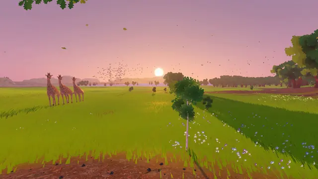 Giraffes on the grassland at sundown
